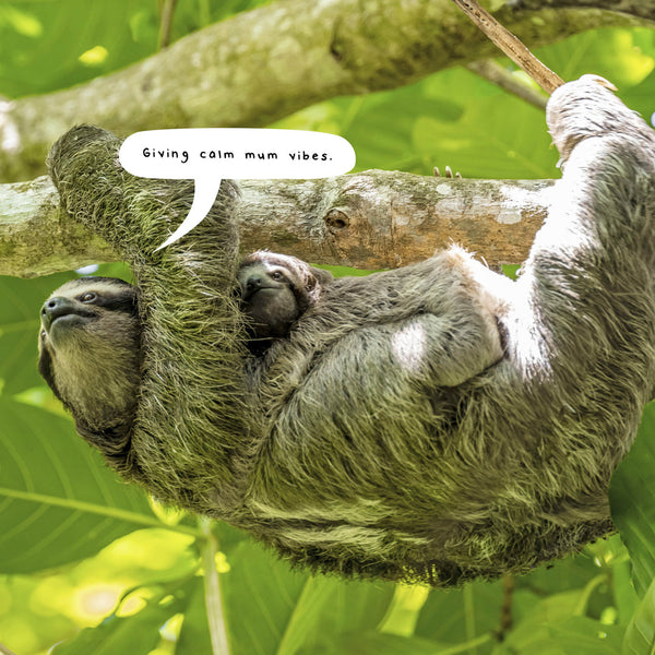 Sloths 2026 Calendar Internal Image