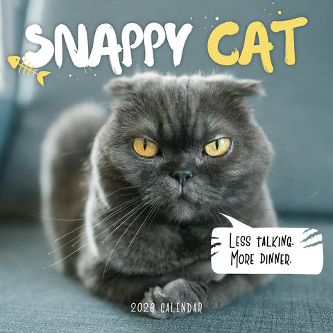 Snappy Cat 2026 Calendar Cover