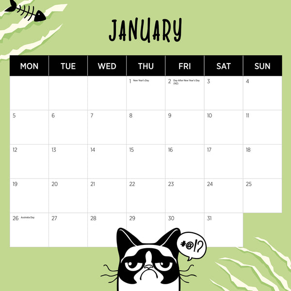 Snappy Cat 2026 Calendar January