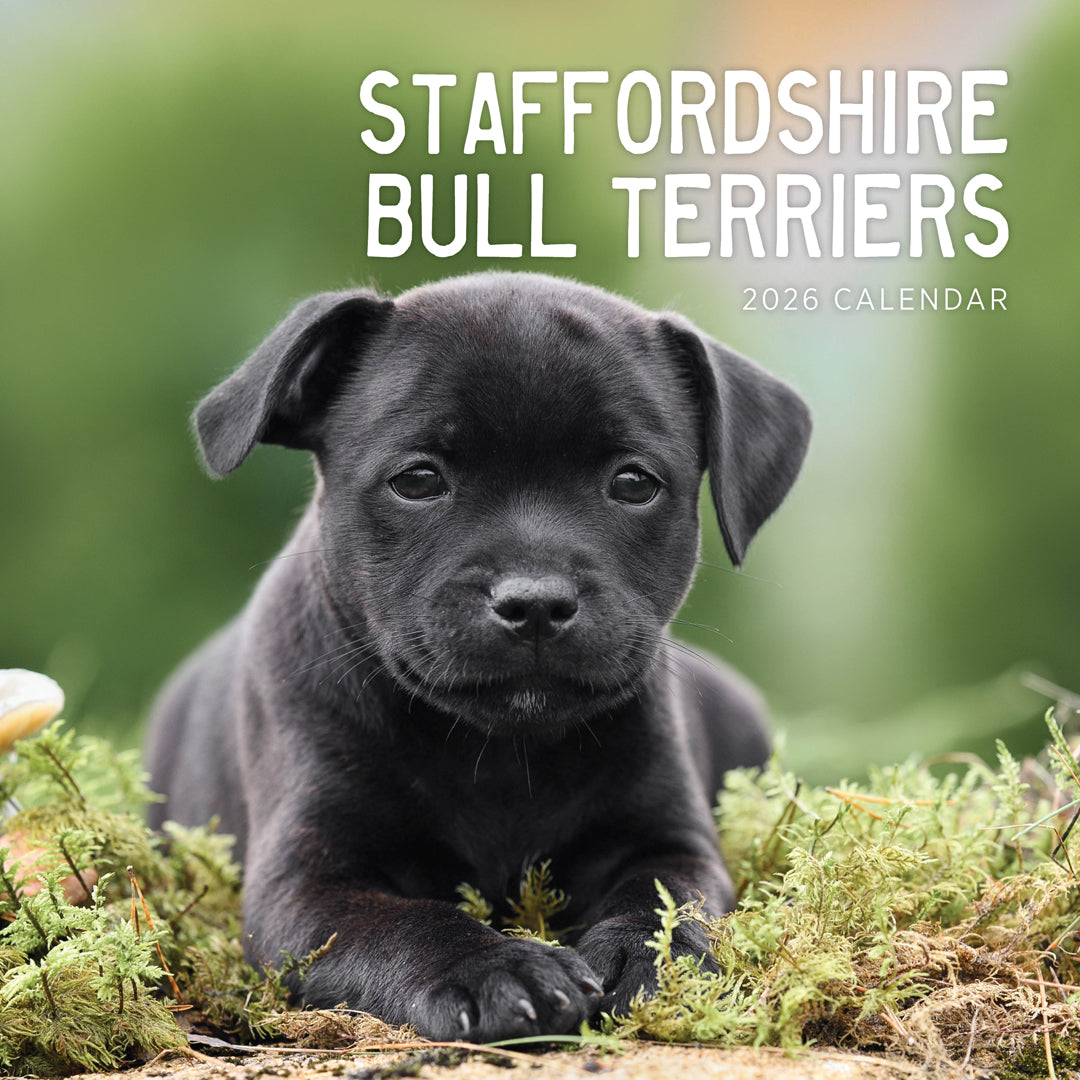 Staffordshire Bull Terriers 2026 Calendar Cover
