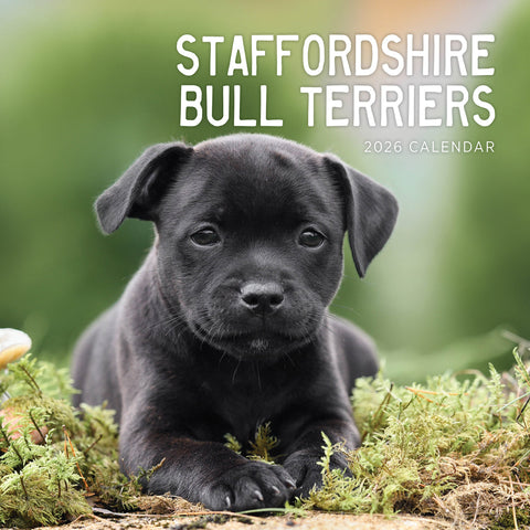 Staffordshire Bull Terriers 2026 Calendar Cover