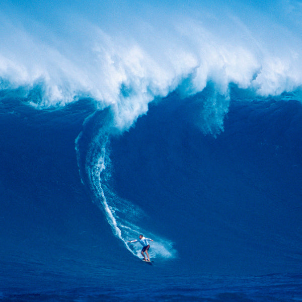2026 The Big Surf Calendar Internal Image