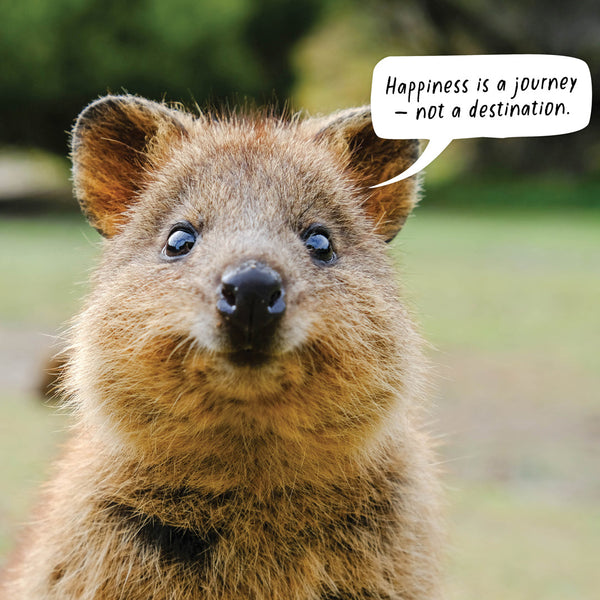 Happy Quokka 2026 Calendar Internal Image