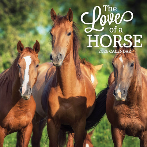 The Love Of A Horse 2026 Calendar Cover