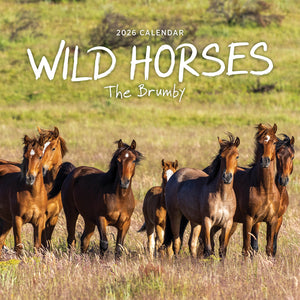 Our Australia Wild Horses 2026 Calendar Cover