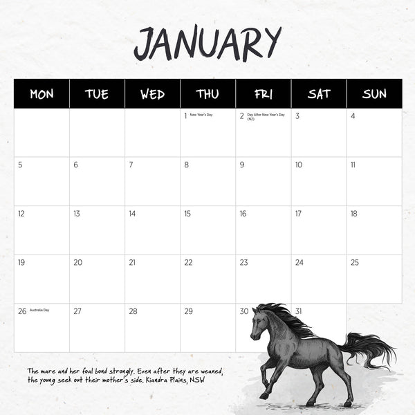 Our Australia Wild Horses 2026 Calendar January