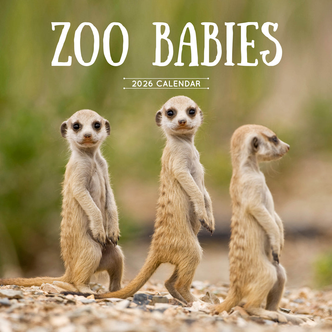 Zoo Babies 2026 Calendar Cover
