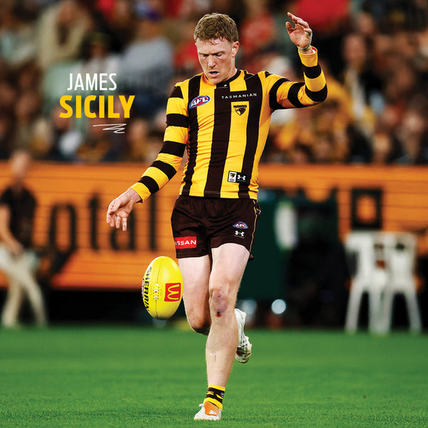 AFL Hawthorn Hawks Calendar 2027