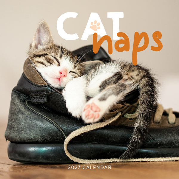 Cat Naps Calendar 2027