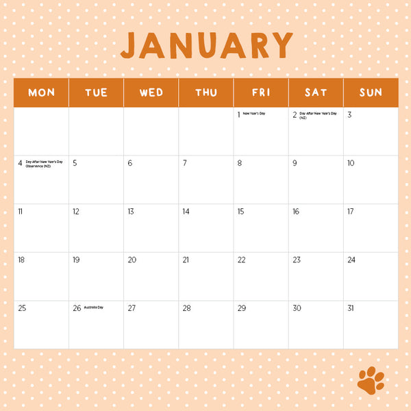 Cats in Small Places Calendar 2027