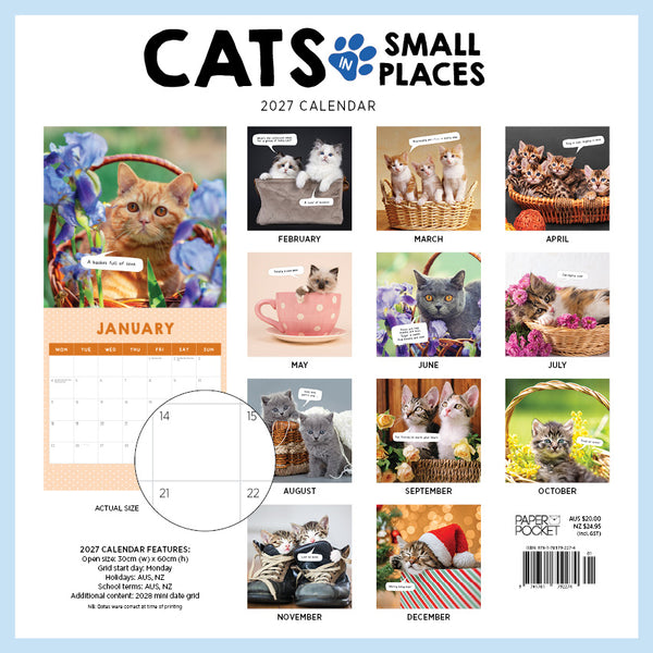 Cats in Small Places Calendar 2027