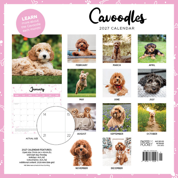 Cavoodle Calendar 2027