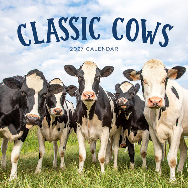 Classic Cows Calendar 2027