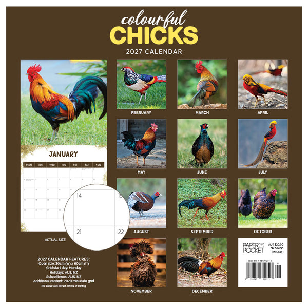 Colourful Chicks Calendar 2027