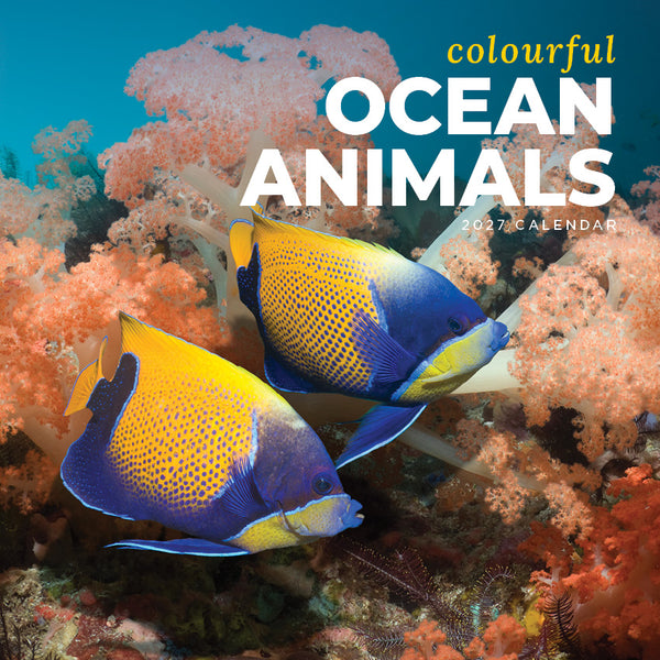 Colourful Ocean Animals Calendar 2027