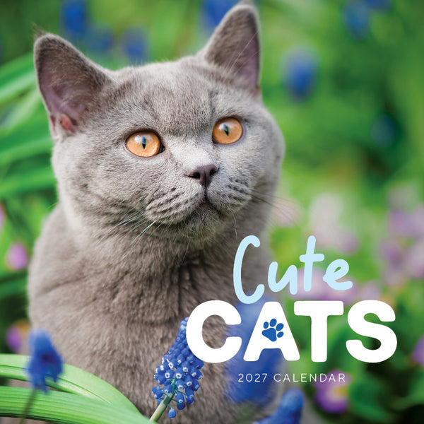 Cute Cats Calendar 2027