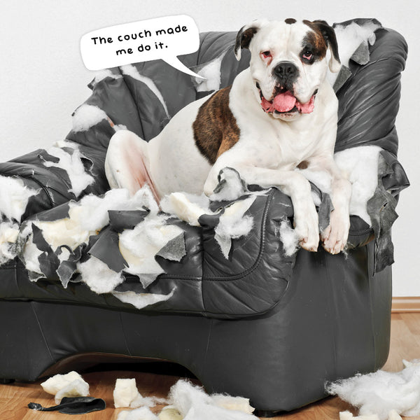 Doggy Shenanigans Calendar 2027