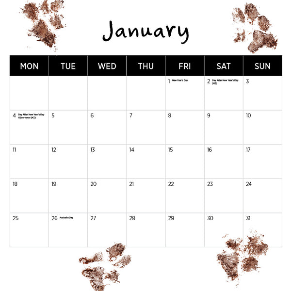 Dogs Life Calendar 2027