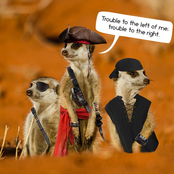 Gangs of Meerkat Manor Calendar 2027