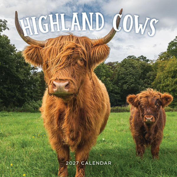 Highland Cows Calendar 2027