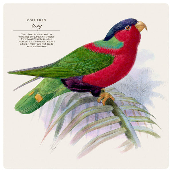 Illustrated Birds Calendar 2027