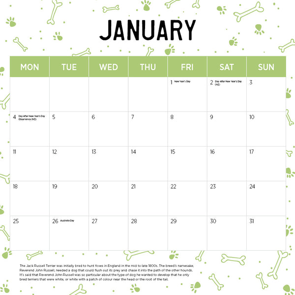 Jack Russell Terrier Calendar 2027