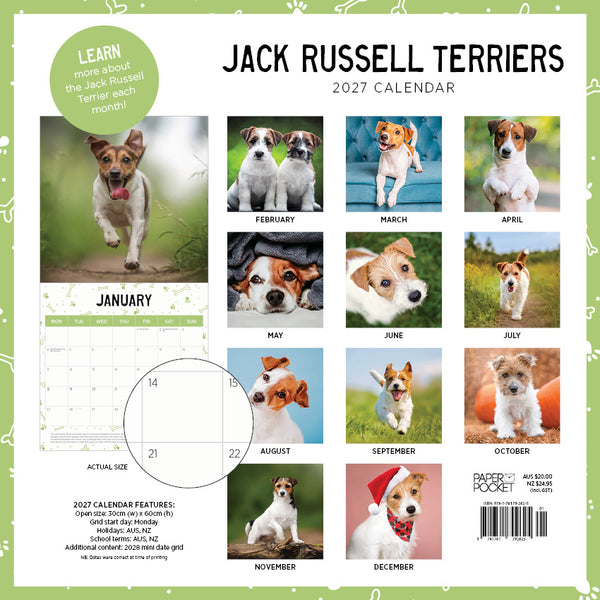 Jack Russell Terrier Calendar 2027
