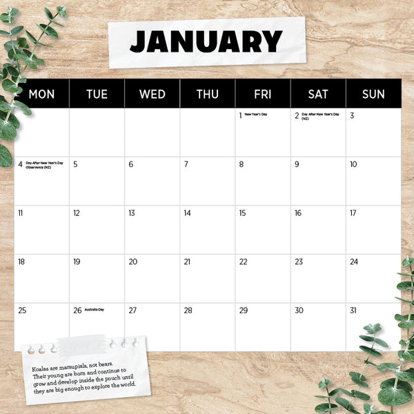 Koalas Calendar 2027