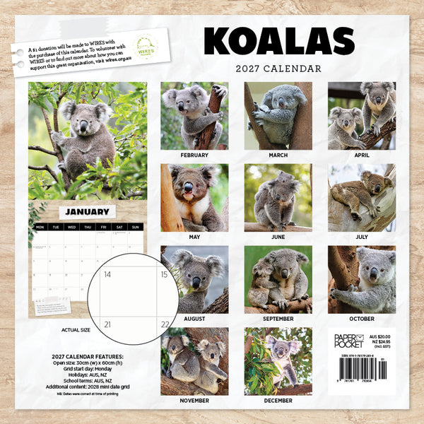 Koalas Calendar 2027