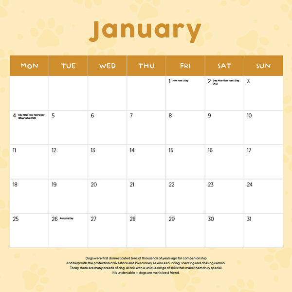 Labradoodles Calendar 2027