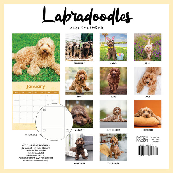 Labradoodles Calendar 2027