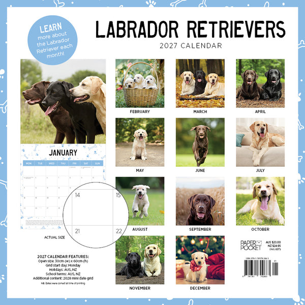 Labrador Retrievers Calendar 2027