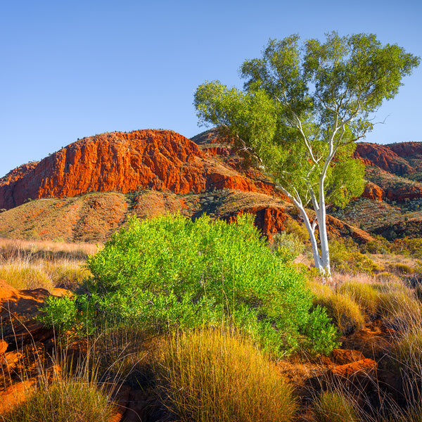 Our Australia Outback Calendar 2027