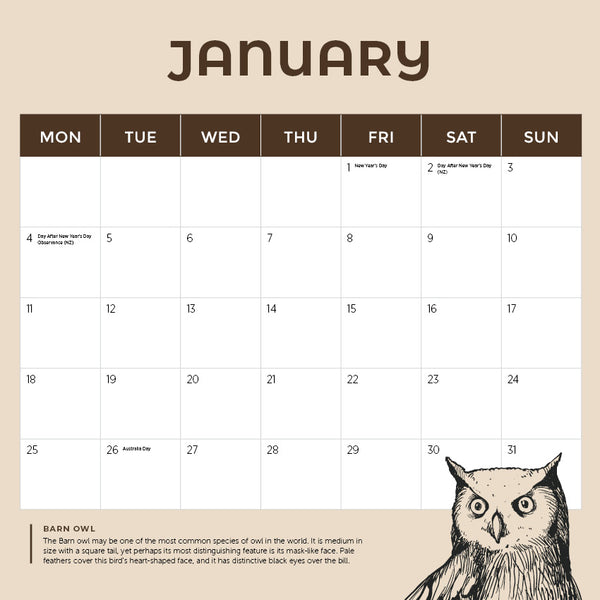 Owls Calendar 2027