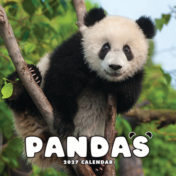 Pandas Calendar 2027