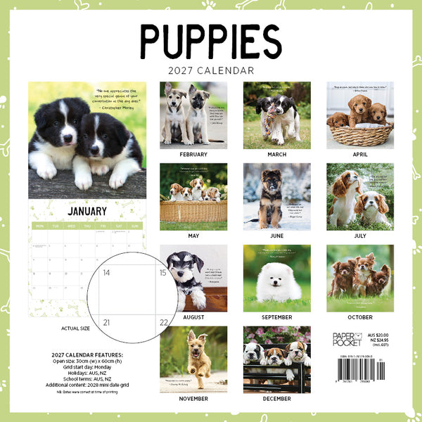 Puppies Calendar 2027
