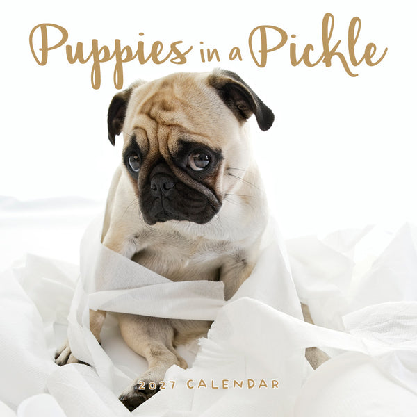 Puppies in a Pickle Calendar 2027