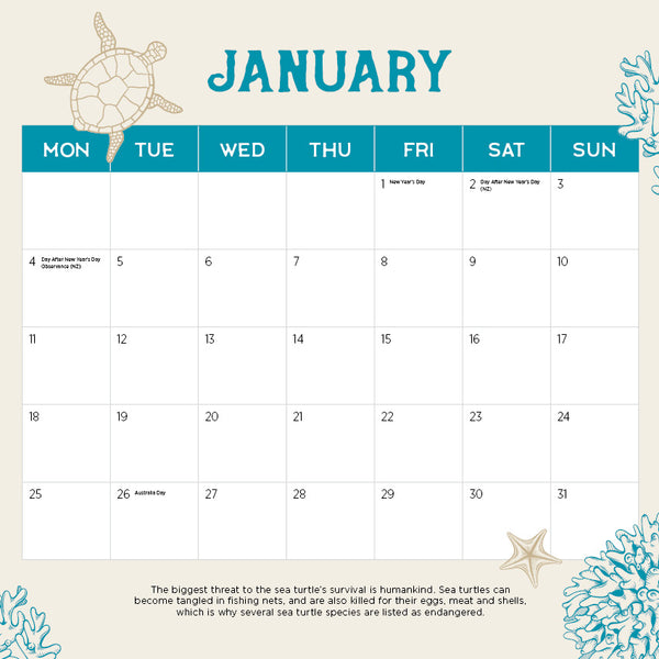 Sea Turtles Calendar 2027
