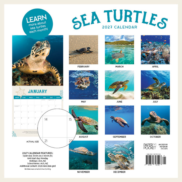Sea Turtles Calendar 2027