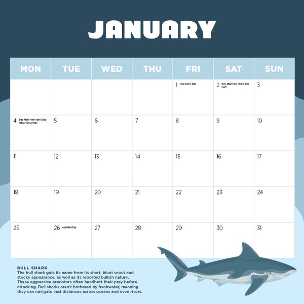Sharks Calendar 2027