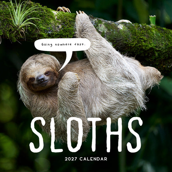 Sloths Calendar 2027