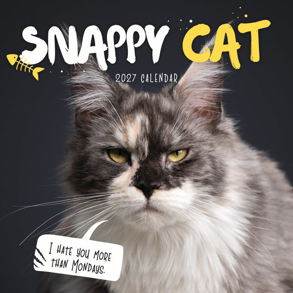 Snappy Cat Calendar 2027