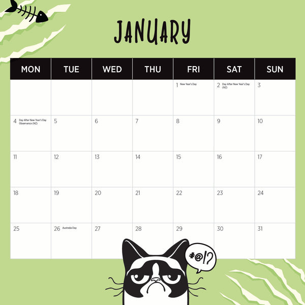 Snappy Cat Calendar 2027