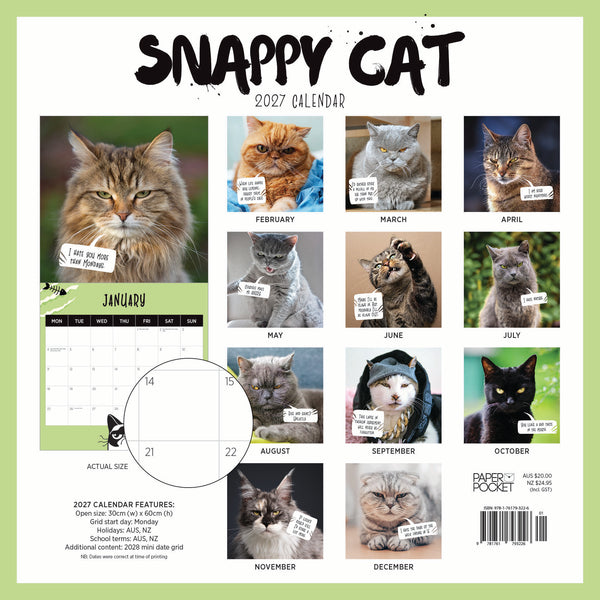 Snappy Cat Calendar 2027