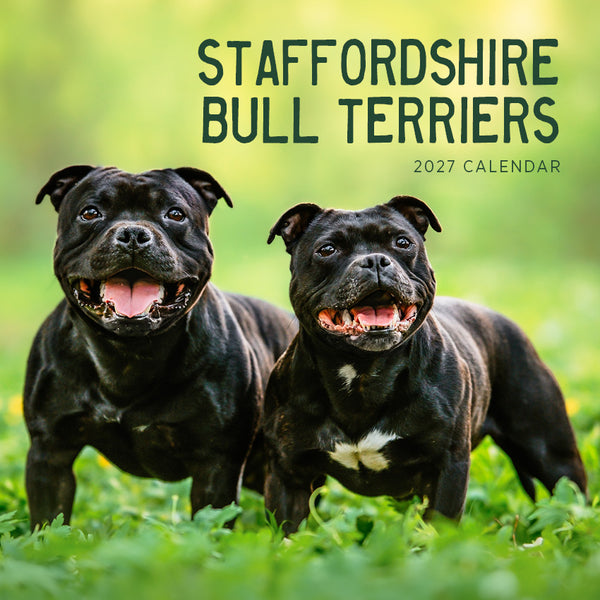 Staffordshire Bull Terriers Calendar 2027
