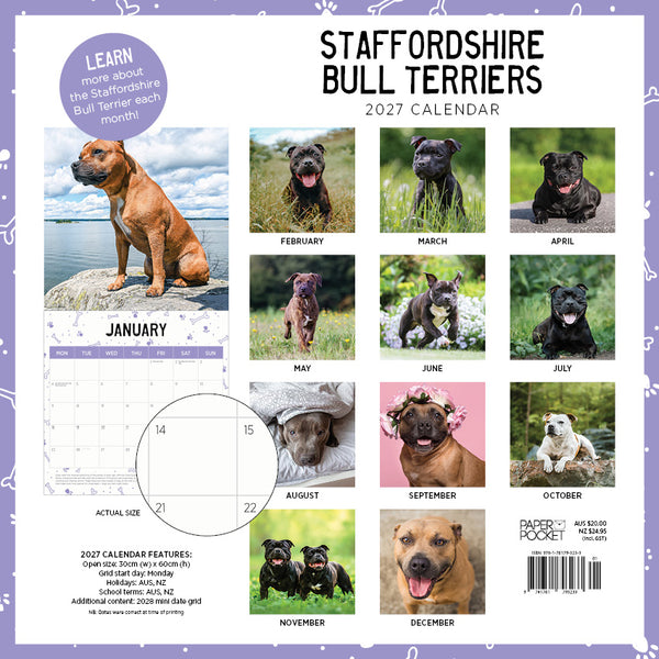 Staffordshire Bull Terriers Calendar 2027