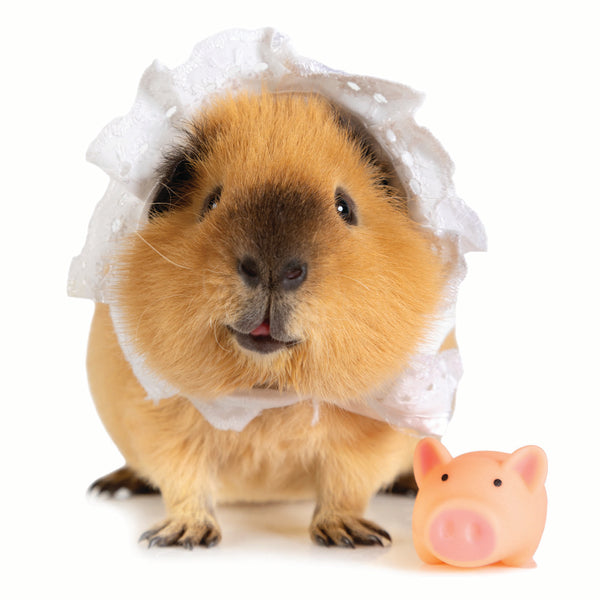 This Little Piggy Calendar 2027