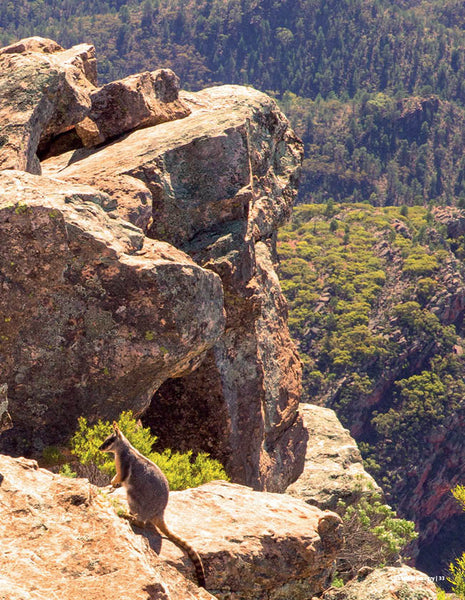 Australian Country Road Trips Issue 2: Travel Guide - Discover 19 Iconic Journeys