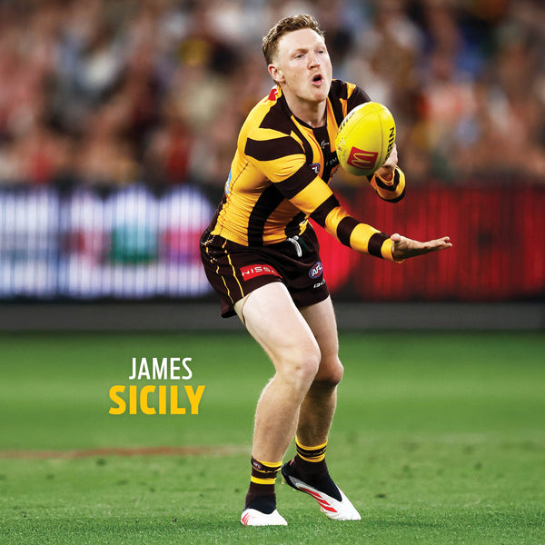 AFL Hawthorn Hawks 2026 Calendar