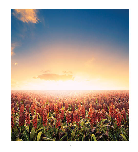 2024 Australian Country Collections Diary